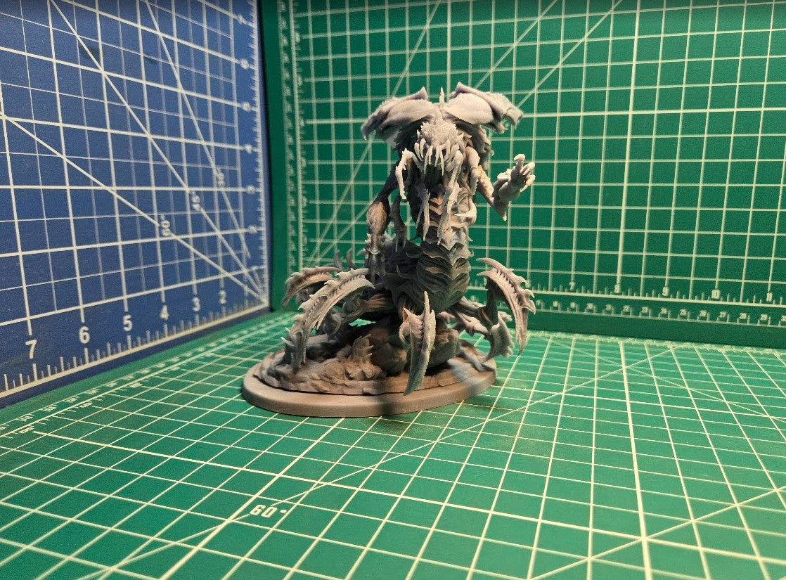 Xel'gara, Queen of the Swarm (fits 120x92mm, 130mm Bases)